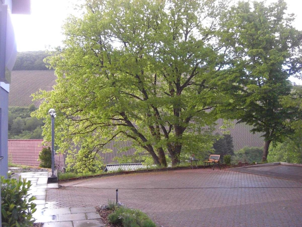 Ferienwohnung Alter Weinberg 사르부르크 외부 사진